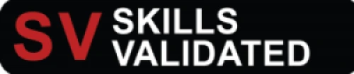Picture of Skills Validated Badge